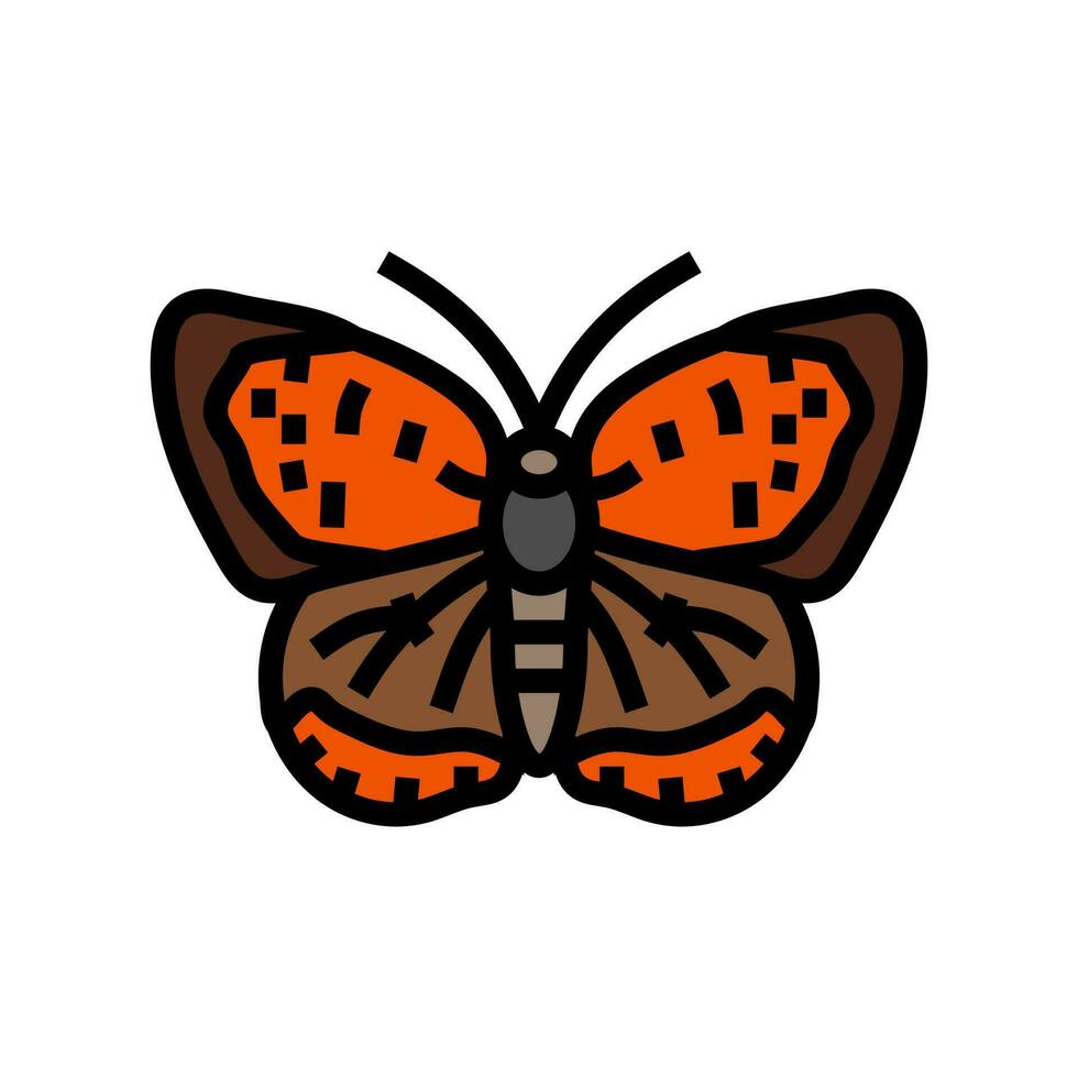 Amerikaans koper insect kleur icoon vector illustratie