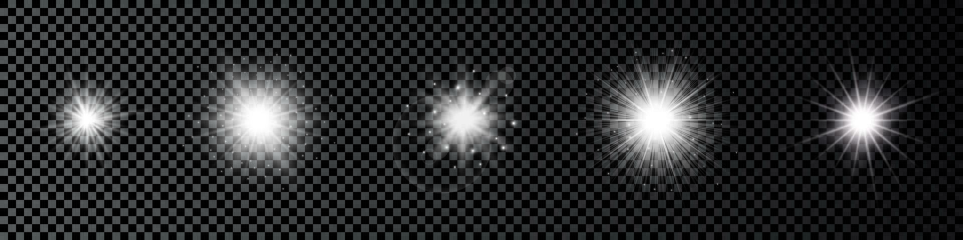licht effect van lens fakkels. reeks van vijf wit gloeiend lichten starburst Effecten met sparkles vector