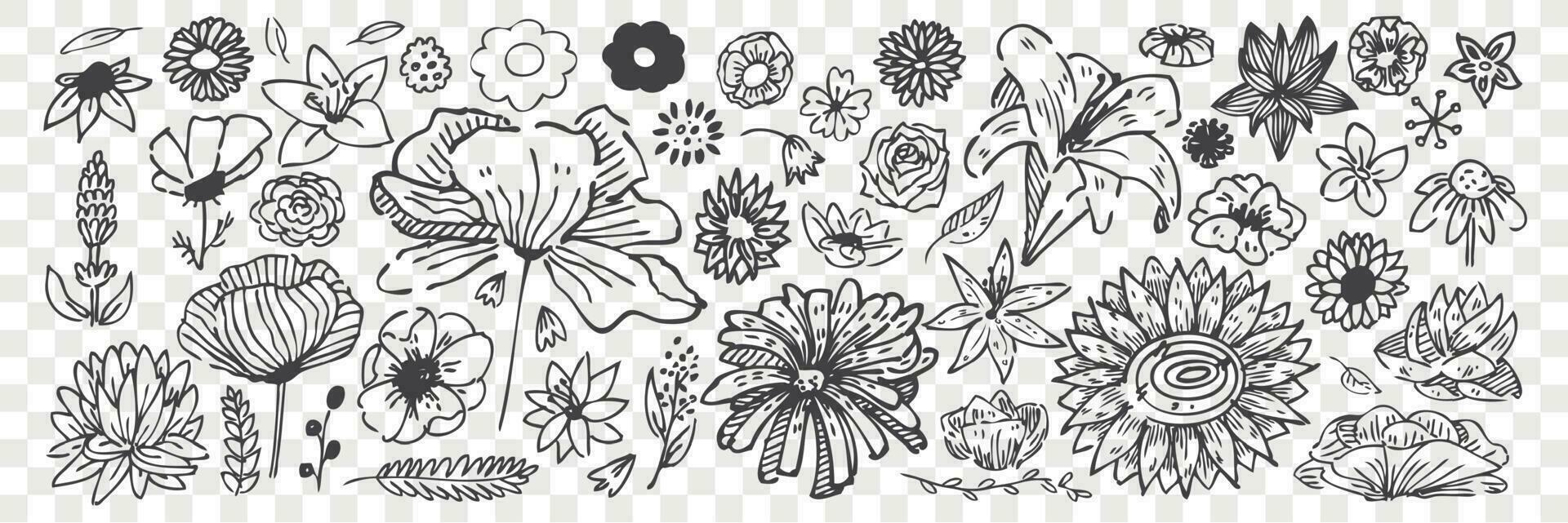 hand- getrokken bloemen tekening set. vector