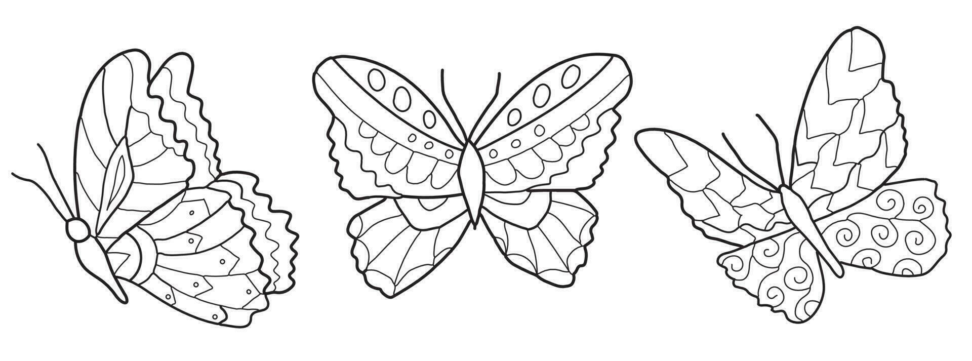 vlinder illustratie. lijn kunst. vector illustratie Aan wit achtergrond. twee versies, zwart vorm en zwart en wit silhouet. besnoeiing uit, afbeeldingen naar kleur
