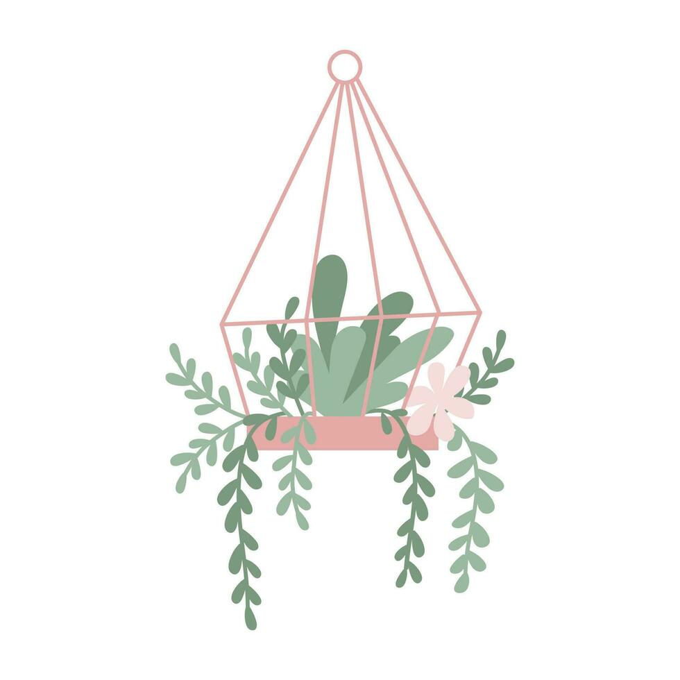schattig cactus, sappig binnen- planten in hangende pot. vector geïsoleerd illustratie. bloemen tekening in tekenfilm vlak stijl.