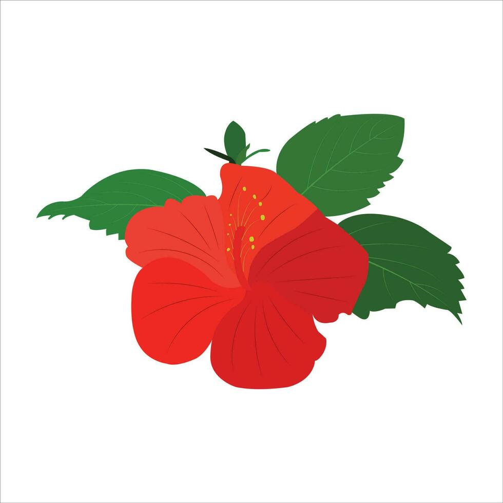 een mooi hibiscus bloem vector kunst werk.