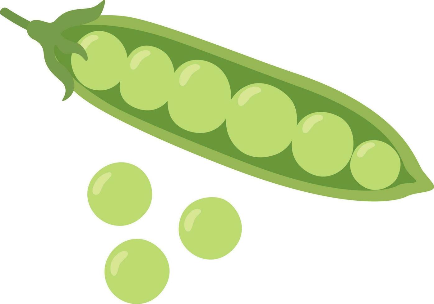 groen erwten illustratie vector