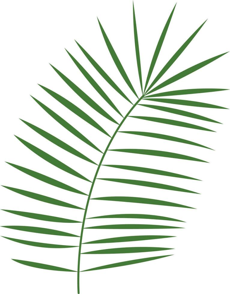 tropisch blad illustratie vector