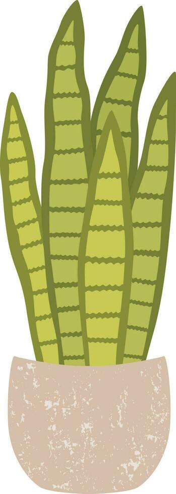 sansevieria in een pot, kamerplant vector