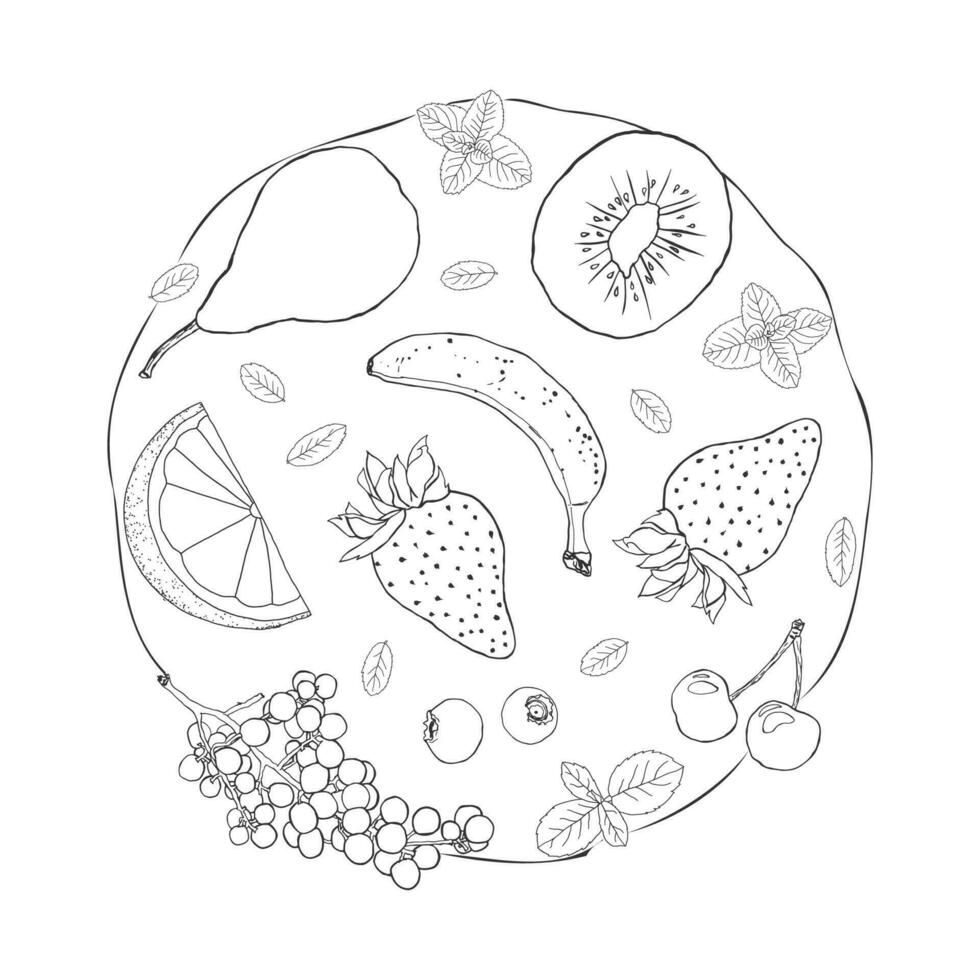fruit illustratie schetsen kunst zwart en wit cirkel vector
