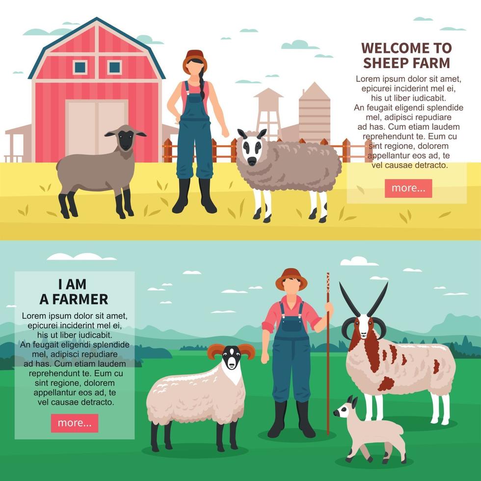 schapen fokken platte banners vector illustratie