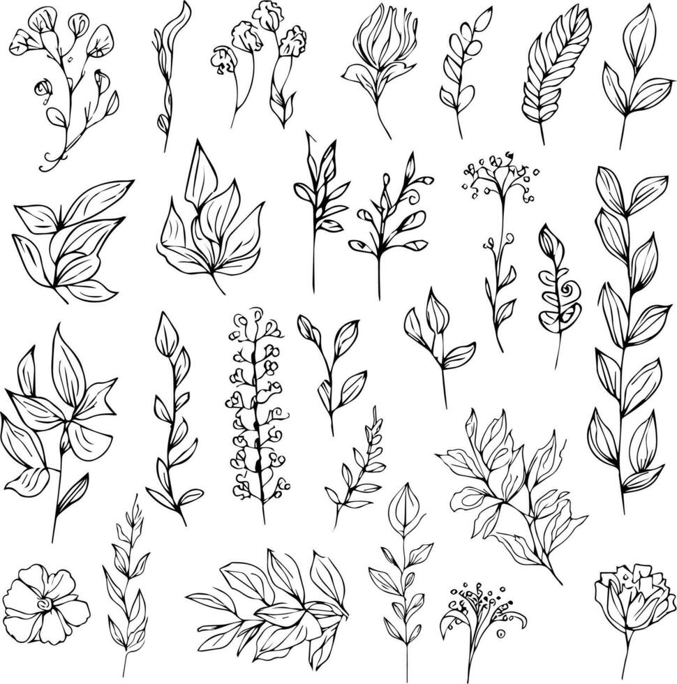 botanisch elementen, wilde bloemen, Aan de tekening kunst, kleur bladzijde vector schetsen hand getekend illustraties, en mooi monochroom botanischelement.