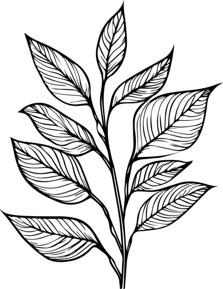 botanisch artwork decor, vector reeks van botanisch blad gemakkelijk schets schetsen tekening hand- getrokken illustratie, botanisch tekeningen van bloemen, botanisch tekeningen van wilde bloemen, botanisch tekeningen.