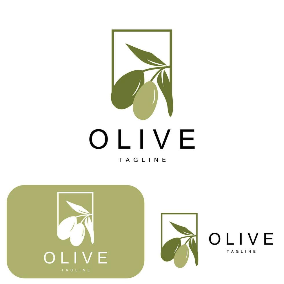 olijf- logo, olijf- olie fabriek vector, natuurlijk kruiden Gezondheid geneeskunde ontwerp, illustratie sjabloon icoon vector