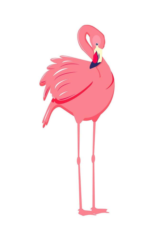 roze flamingo. schattig en mooi vlak roze flamingo Aan wit achtergrond, zomer ontwerp voor afdrukken, kinderen tekening, ontwerp voor t-shirt, poster, banier, ontwerp voor kleding stof en textiel vector