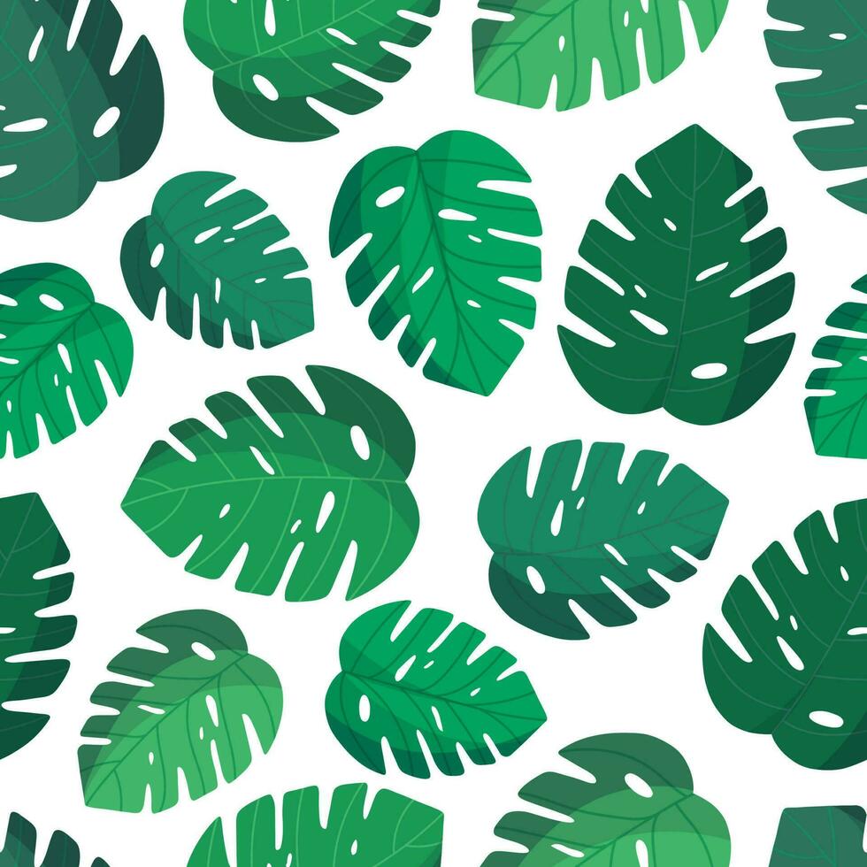 naadloos patroon met groen monstera bladeren. tropisch stijl. monstera fabriek herhalen achtergrond voor textiel, behang, zomer decoratie. bloemen patroon met monstera blad. vector