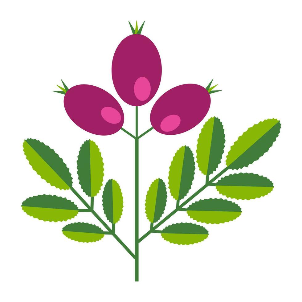 gemakkelijk minimalistisch helder groen Afdeling met blad en roze bessen. bloem verzameling van kleurrijk planten voor seizoensgebonden decoratie . gestileerde pictogrammen van plantkunde. voorraad vector illustratie in vlak stijl