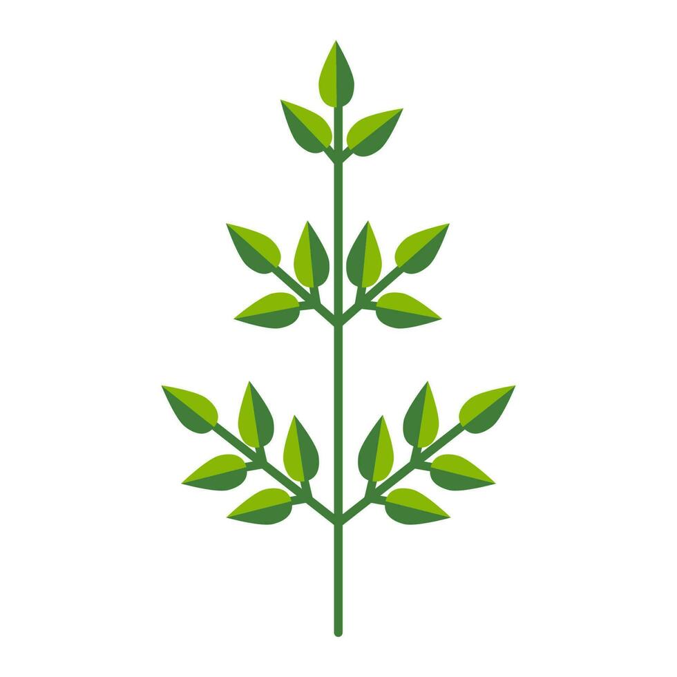 gemakkelijk minimalistisch helder groen Afdeling met bladeren. bloem verzameling van kleurrijk planten voor seizoensgebonden decoratie . gestileerde pictogrammen van plantkunde. voorraad vector illustratie in vlak stijl