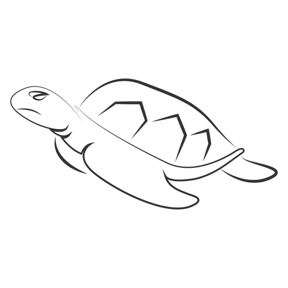 schildpad vector illustratie ontwerp