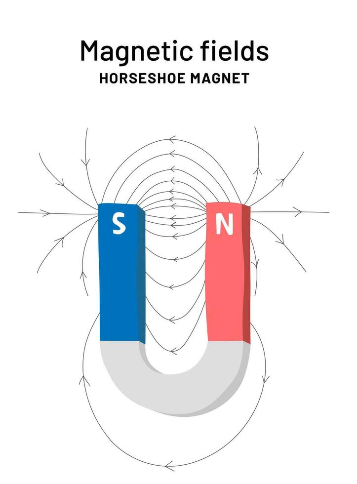 magnetisch velden onderwijs poster. hoefijzer magneet infographic afdrukken voor school. magnetisme uitleg. vector