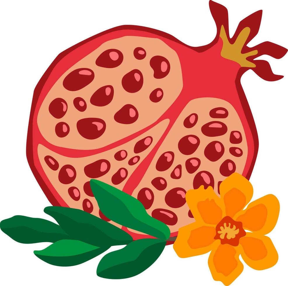 vector illustratie van gesneden granaatappel met bladeren en bloemen zwart Aan wit achtergrond