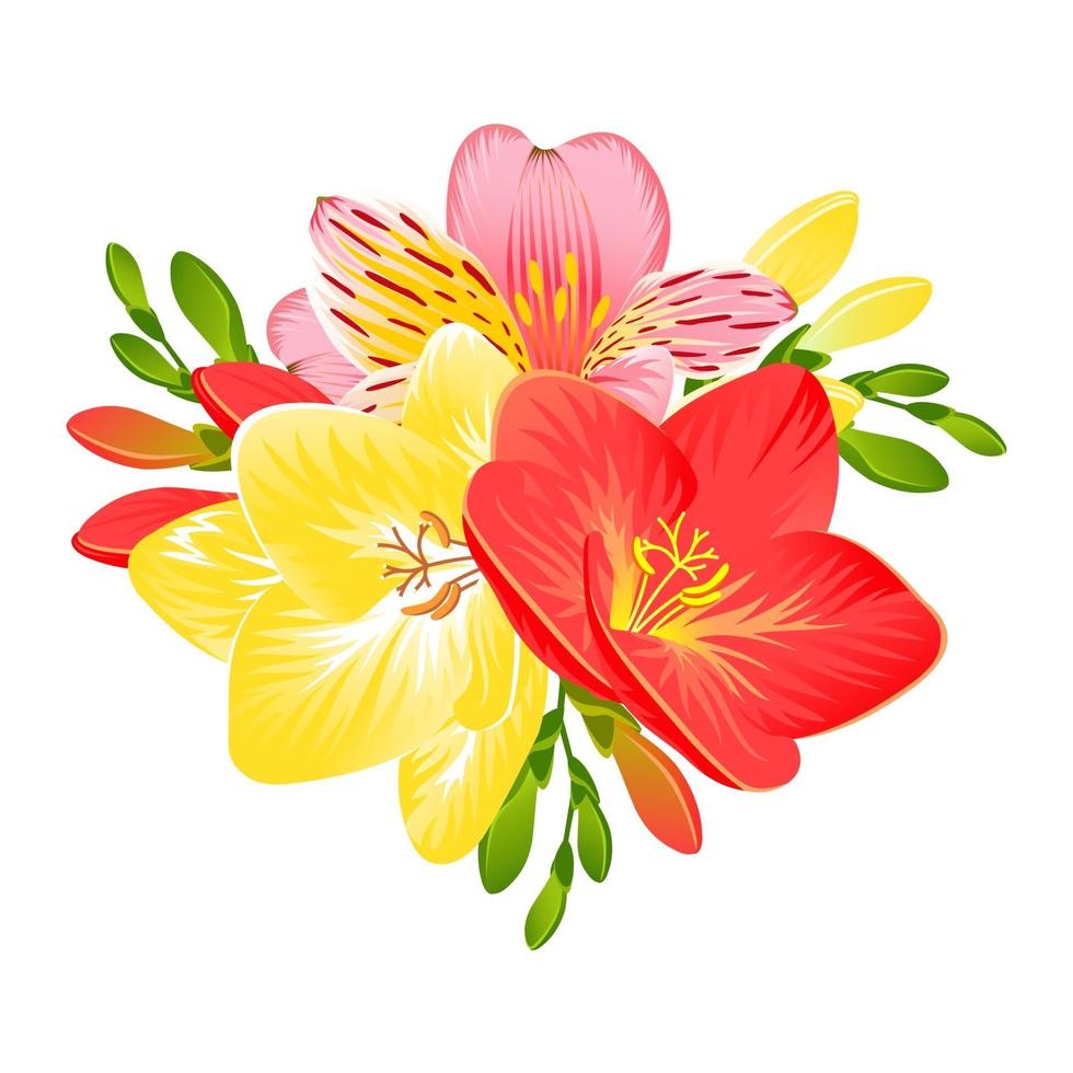 een tropische compositie met de bloemen van freesia en alstromeria vector