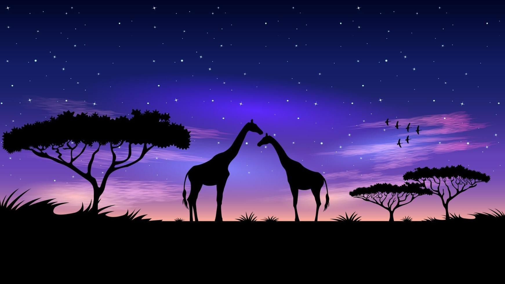 afrika bij nacht sterrenhemel achtergrond vector