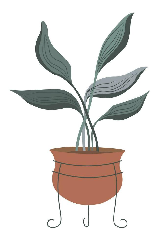 ingemaakt bloem, calathea orbifolia met bladeren vector