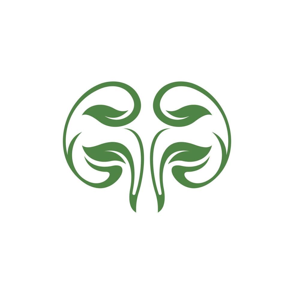 menselijk nier blad natuur creatief logo vector