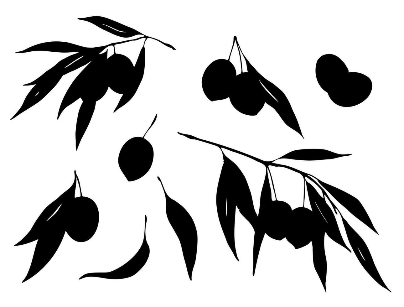 olijven takken silhouet reeks geïsoleerd Aan wit achtergrond. zwart en wit voedsel ontwerp elementen vector illustratie.