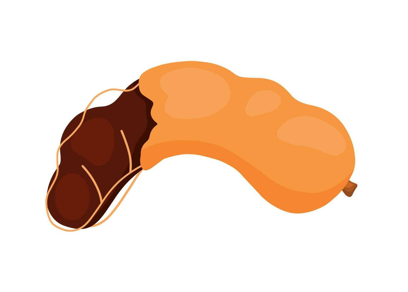tamarinde fruit voor de helft geopend icoon tekenfilm tekening vector illustratie