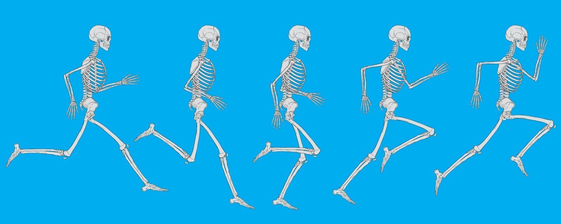 lopende cyclus van wit menselijk skelet op blauwe achtergrond vector tekening
