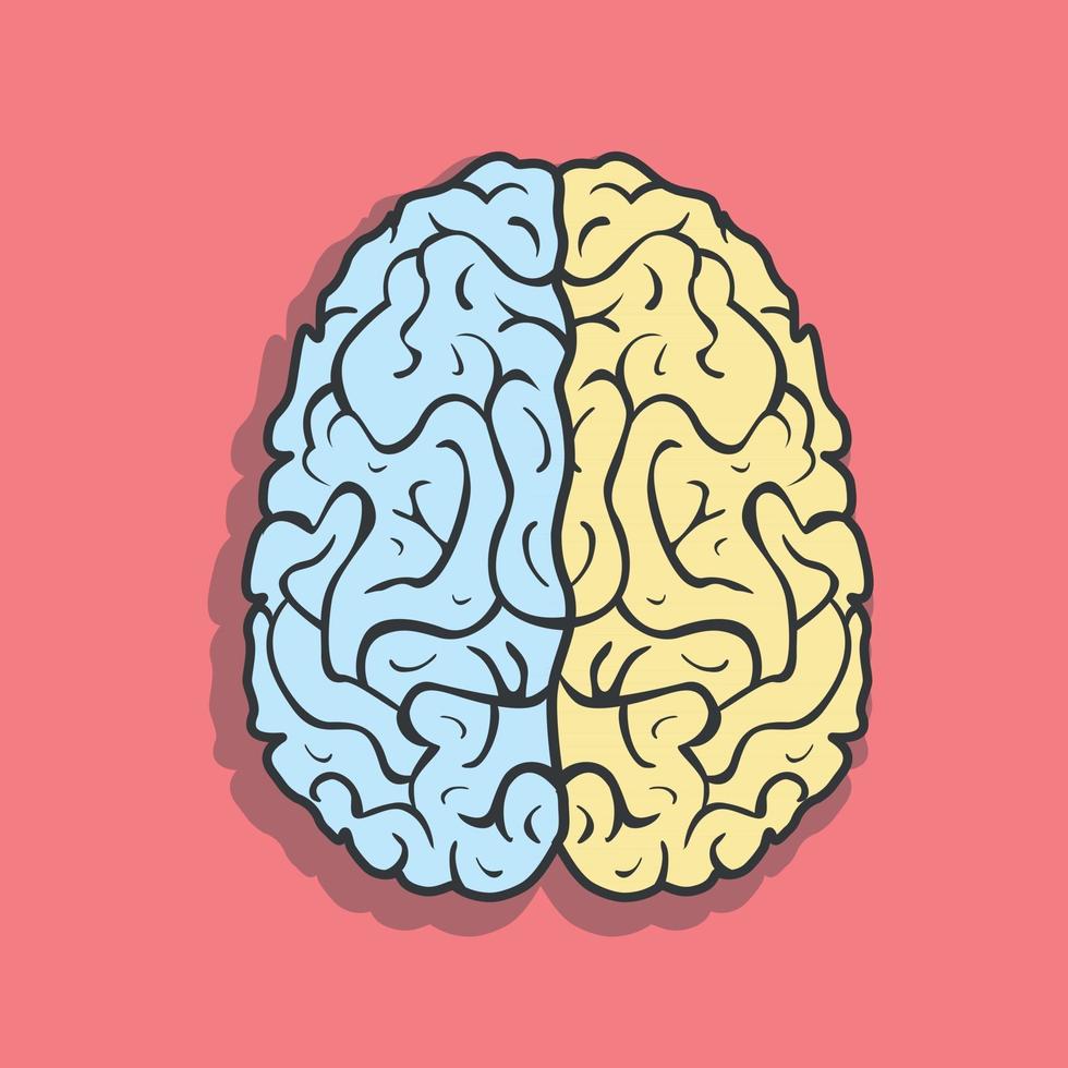 linker- en rechterhersenhelft van het menselijk brein vector