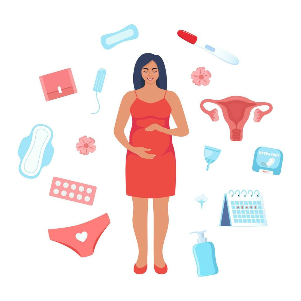 dames Gezondheid concept. zwangerschap, menstruatie, periode, vrouw baarmoeder, voortplantings- systeem. zwanger vrouw, zwangerschap testen, tampon, kalender, baarmoeder, kussentjes, menstruatie- beker, broek. vector illustratie.