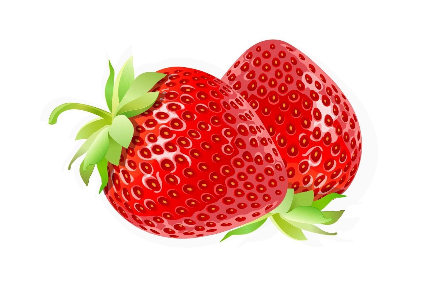 aardbei zoet fruit illustratie voor web geïsoleerd op een witte achtergrond vector
