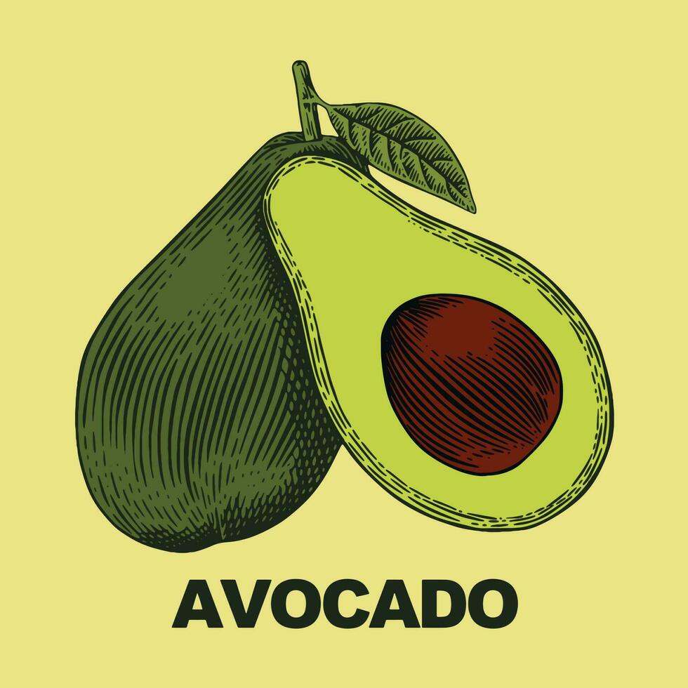 avocado vector kunst, illustratie, icoon en grafisch