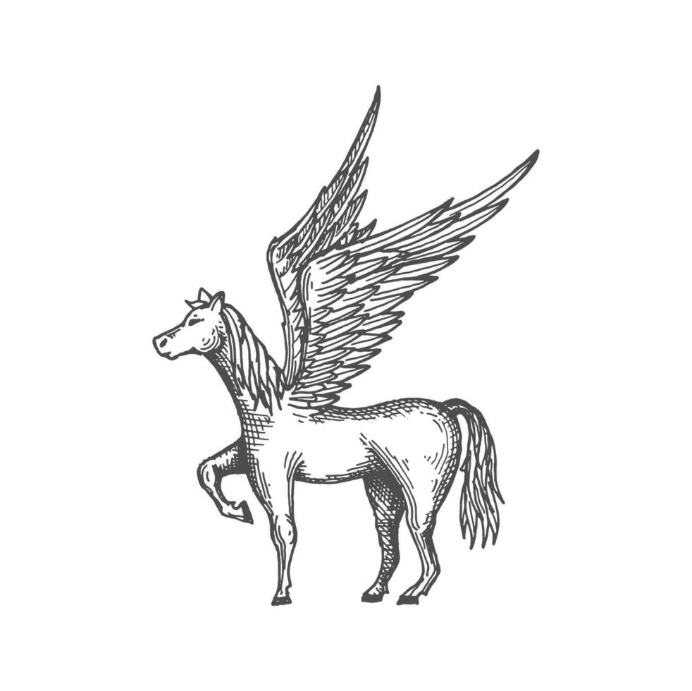 Grieks Pegasus met Vleugels, sterk mythologie dier vector