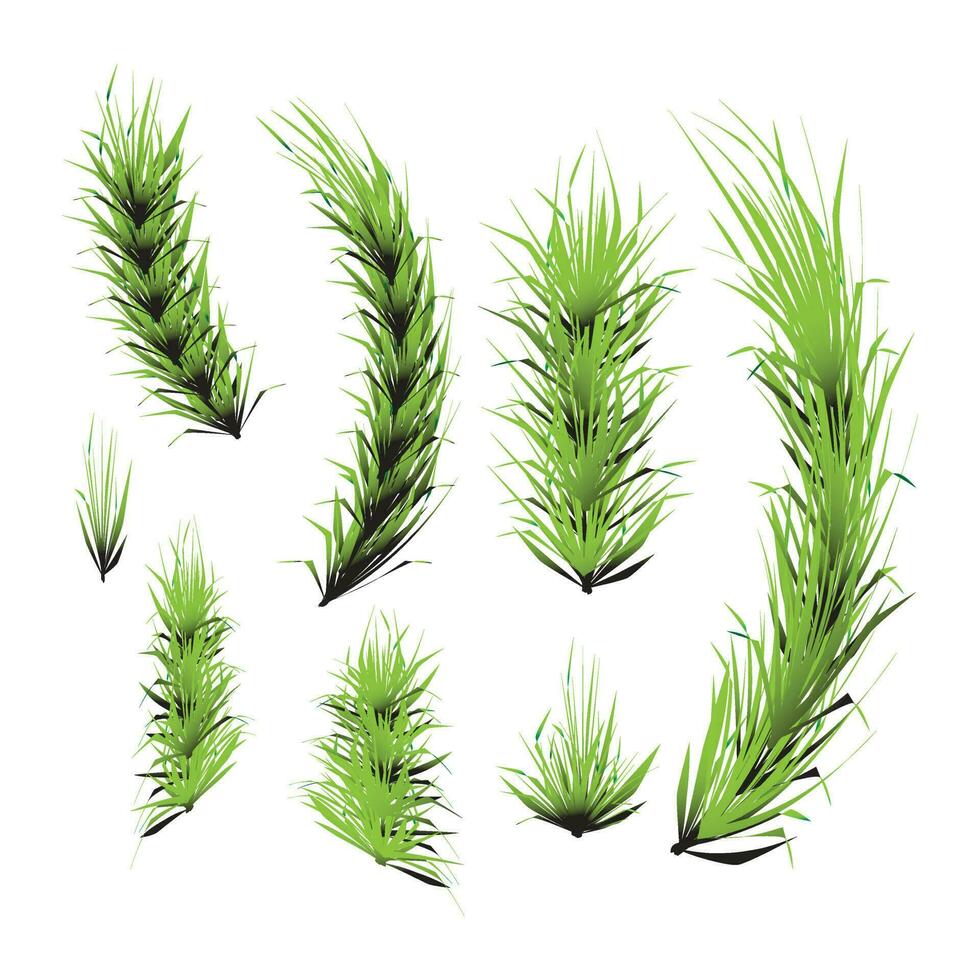 groen gras en struiken elementen voor ontwerp en versieren elementen vector