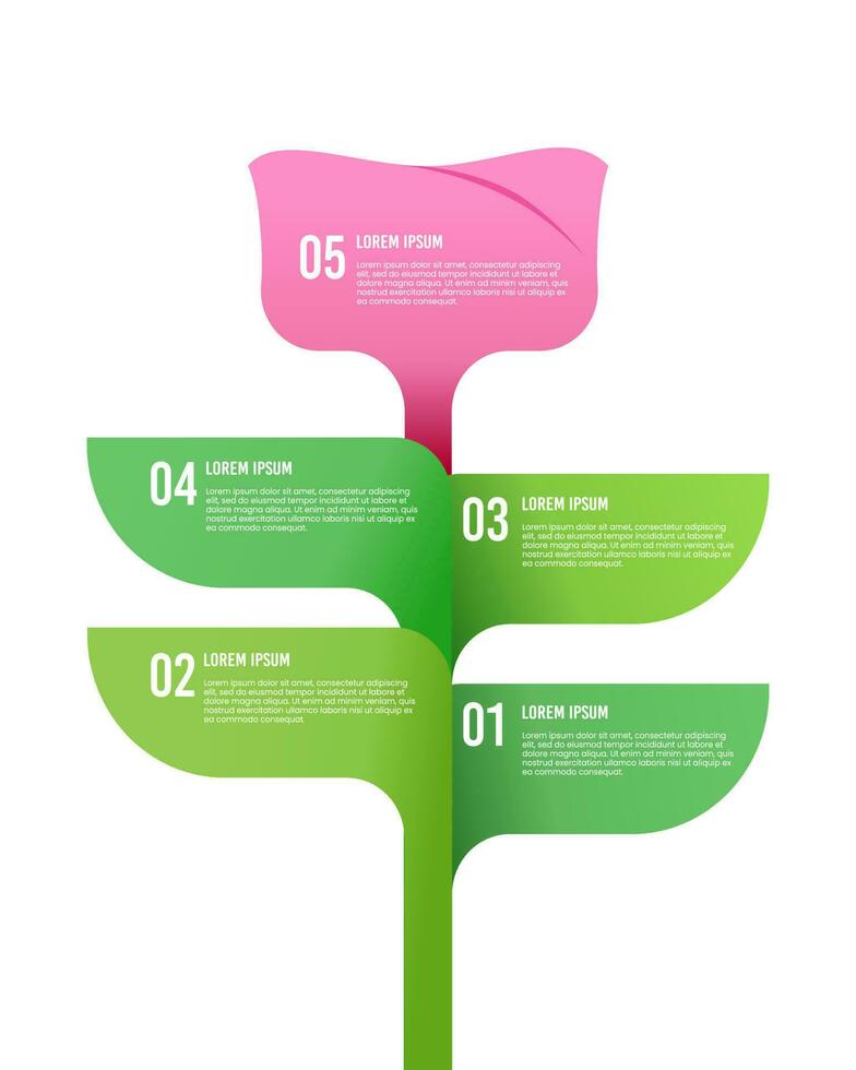 infographic roze bloem en bloem bloemblaadjes 5 stappen naar succes. vector illustraties.