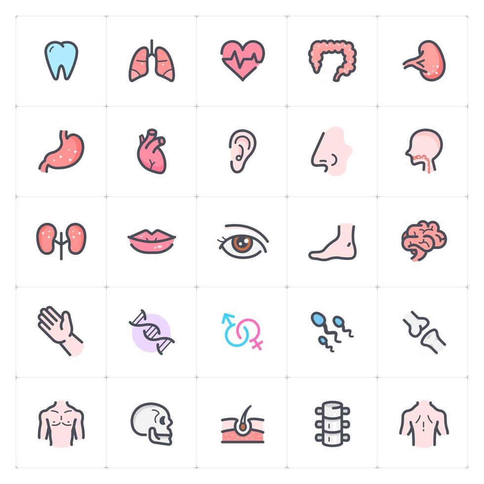 menselijke anatomie lijn met kleur pictogram vector