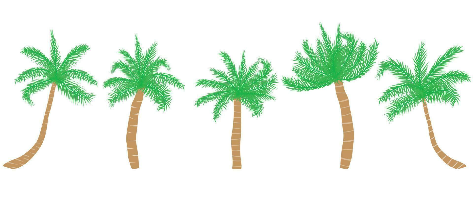 tropisch palm boom set. vector illustratie