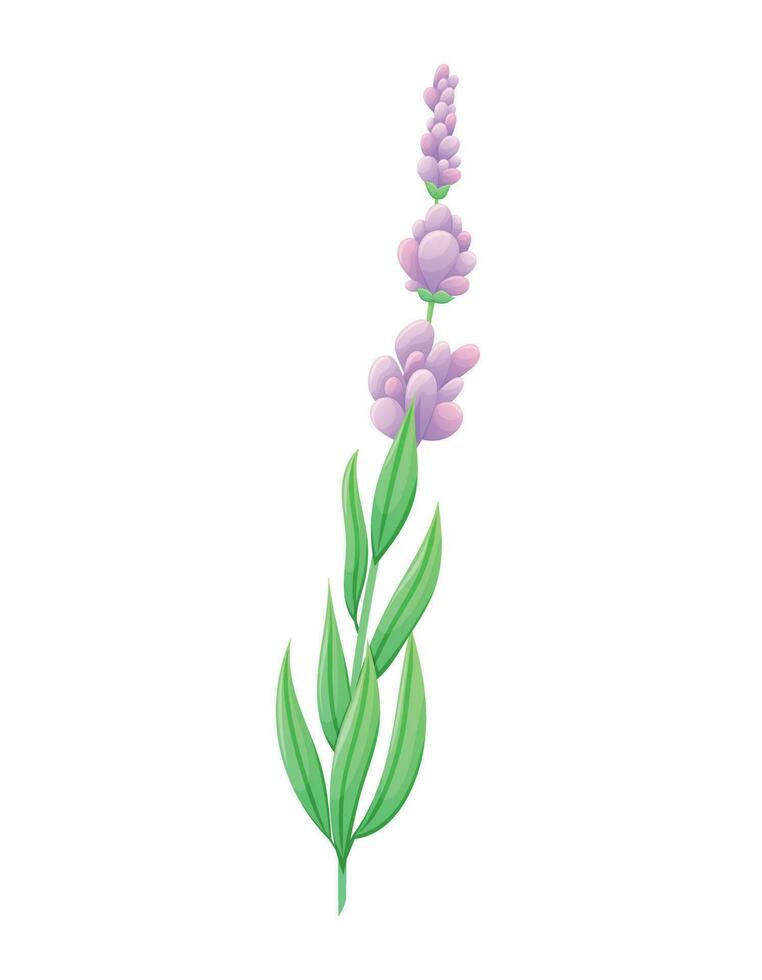 takje van lavendel of lila met Purper bloemen, bladeren en bloemblaadjes. vector geïsoleerd tekenfilm natuurlijk illustratie.