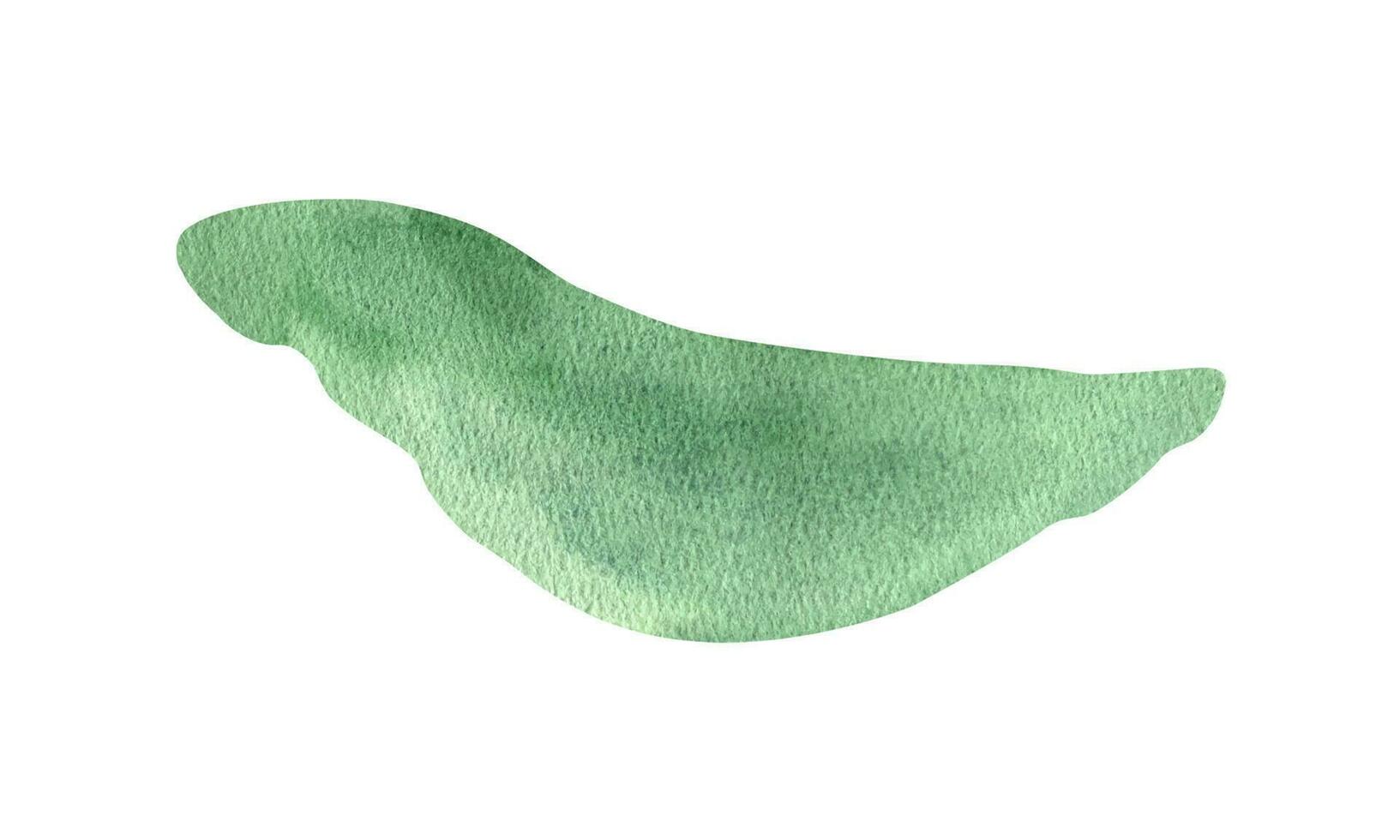 groen gras veld- grond waterverf clip art. illustratie van zomer groen. vector