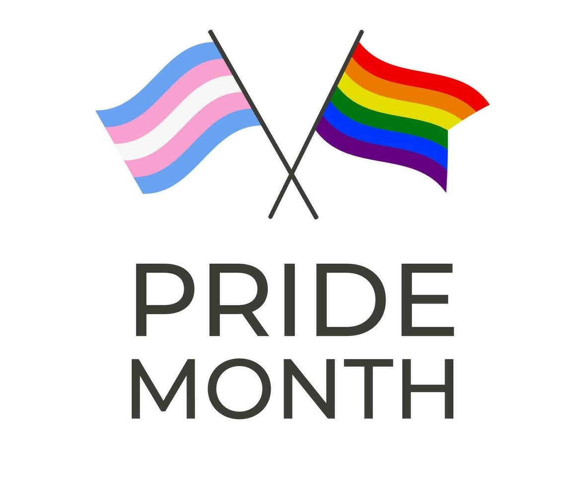 lgbt en transgender vlaggen voor seksueel minderheid trots maand. banier, uitnodiging, folder. vector. vector