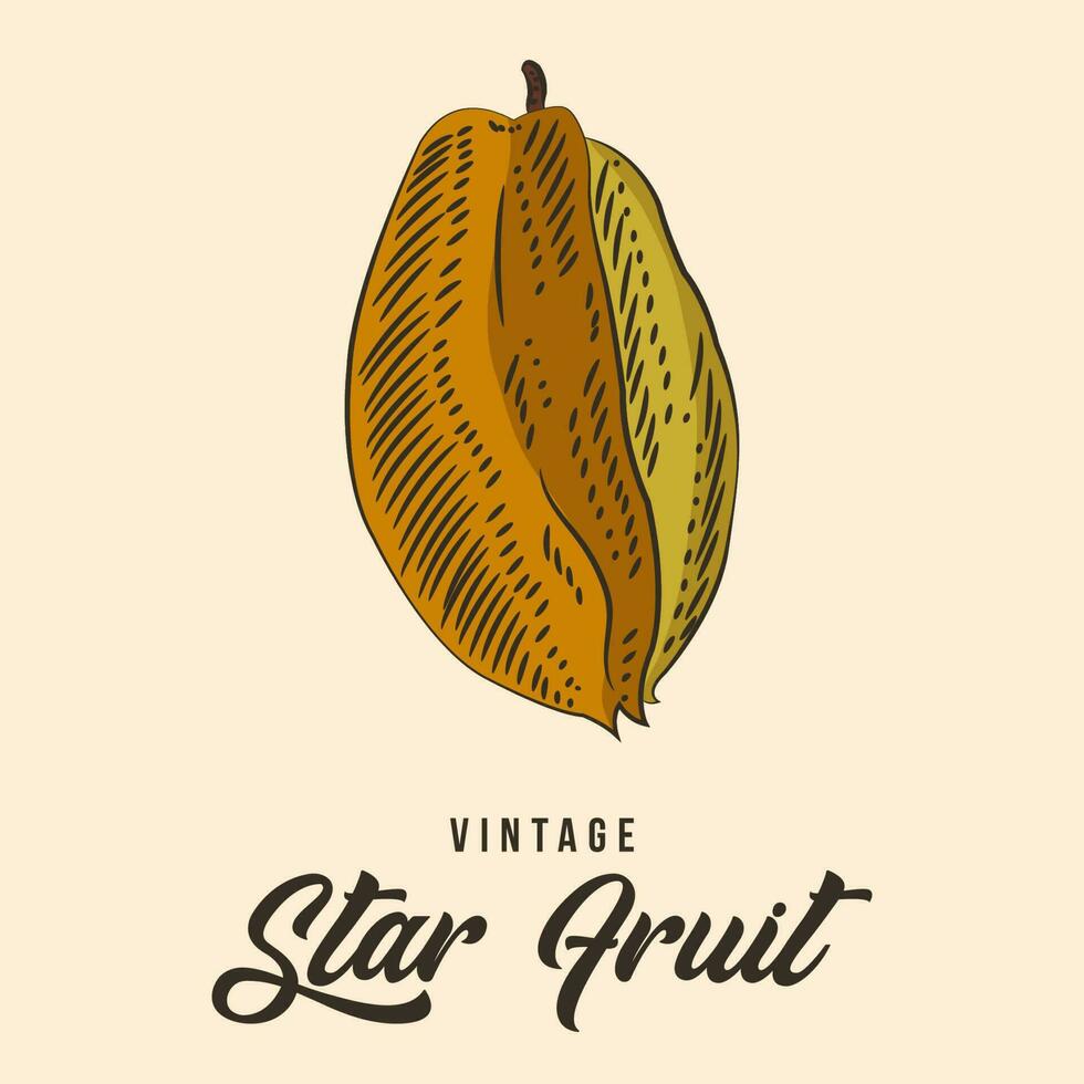 wijnoogst hand- tekening ster fruit schetsen vector voorraad illustratie kleur