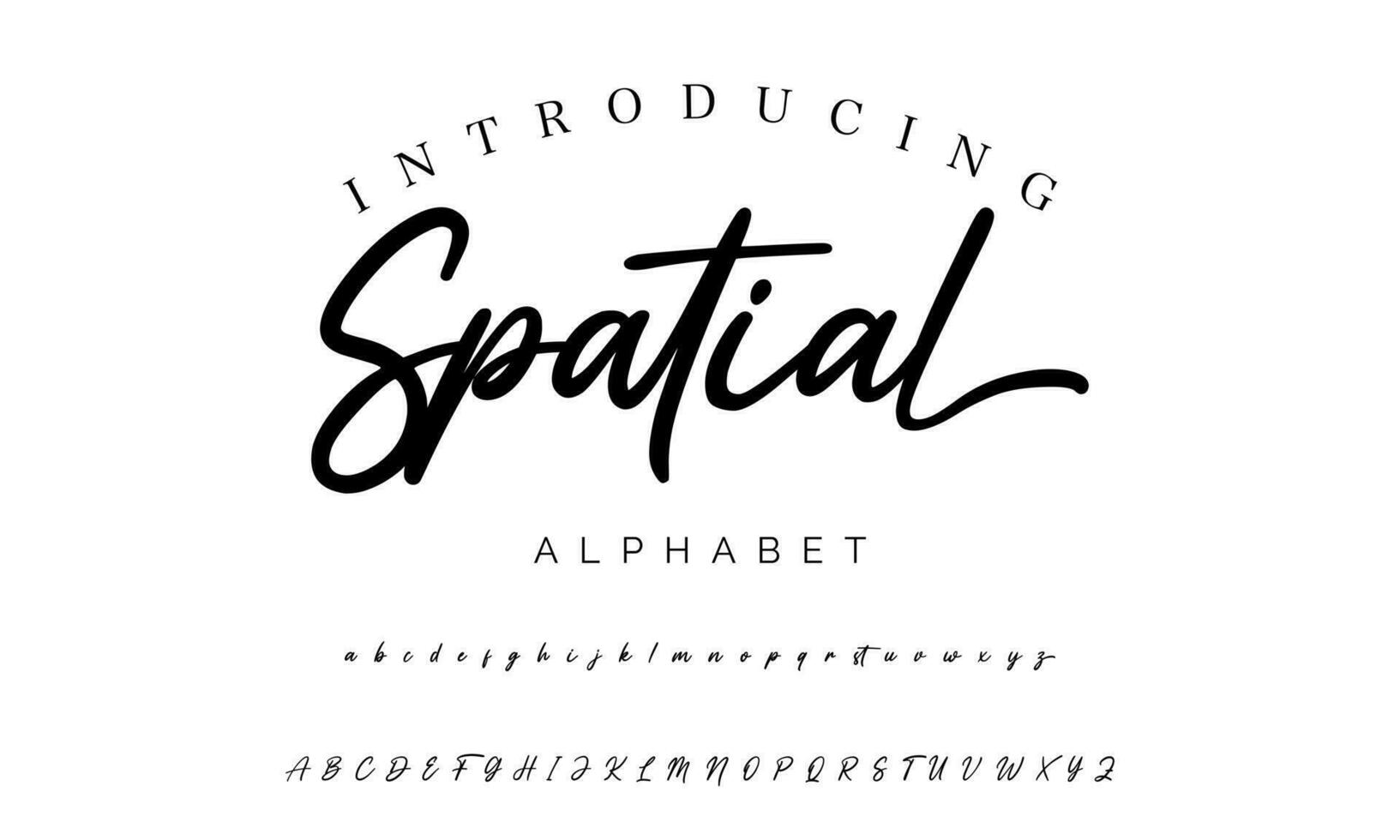 handtekening doopvont schoonschrift logotype script borstel doopvont type doopvont belettering handgeschreven vector