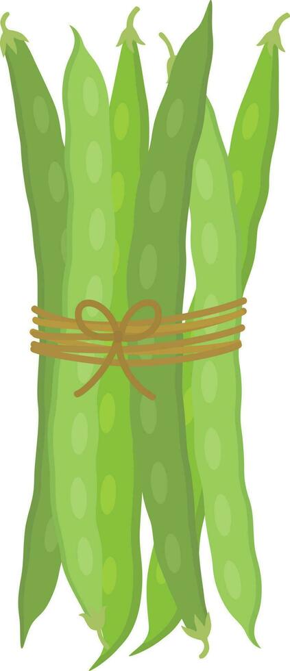 groen bonen illustratie vector