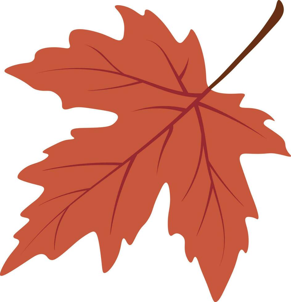 herfst bladeren vector grafisch