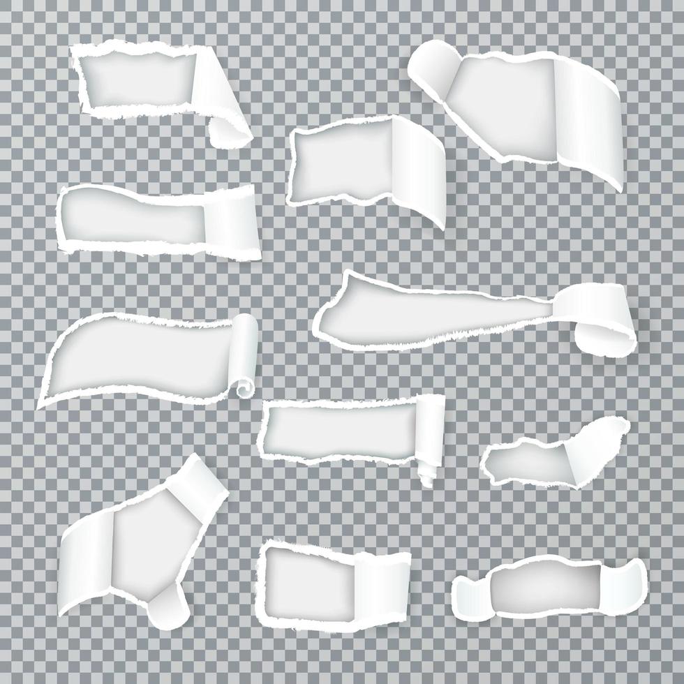 gescheurd papier krullen realistische vectorillustratie vector