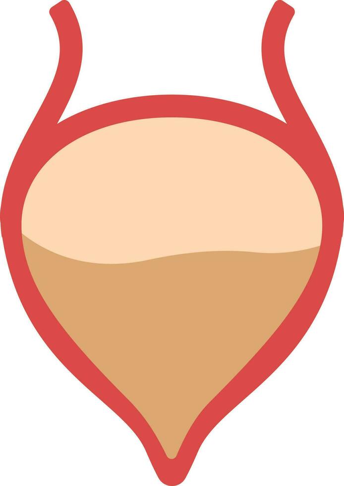 rood en oranje blaas anatomie vlak icoon. vector