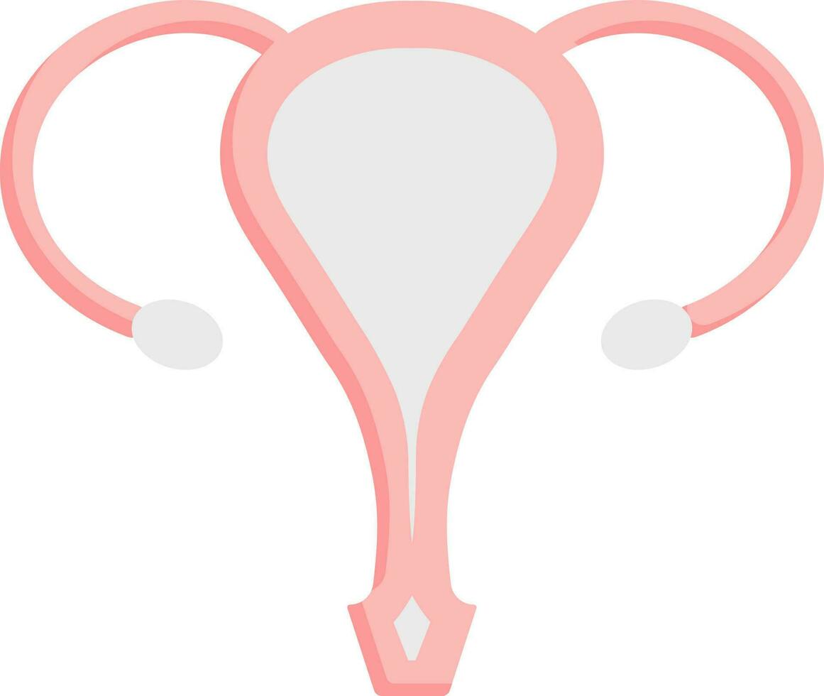 vlak stijl van eierstok anatomie roze icoon. vector