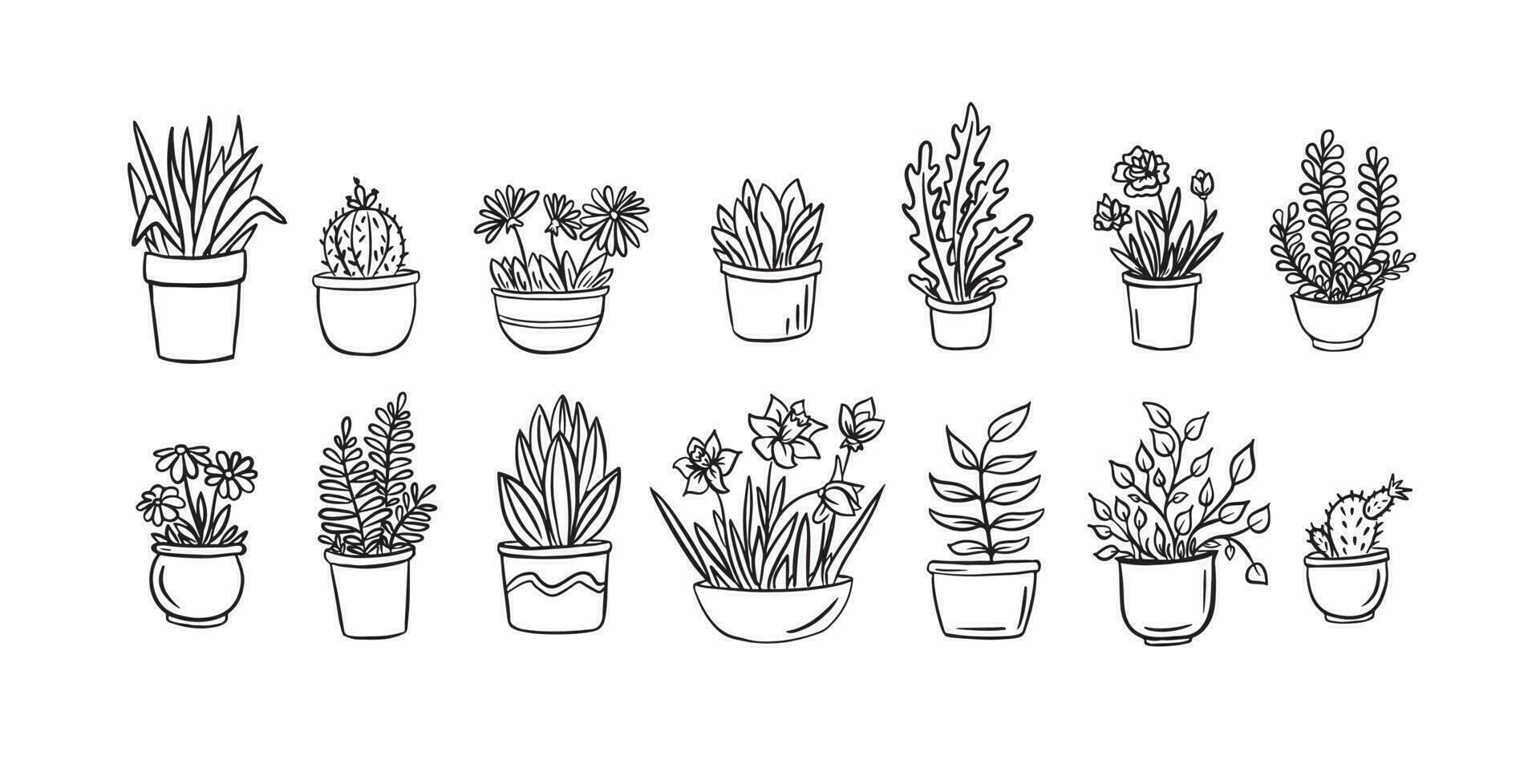 huis planten en bloemen in potten voor de interieur.vector illustrator.foto in tekening stijl. vector