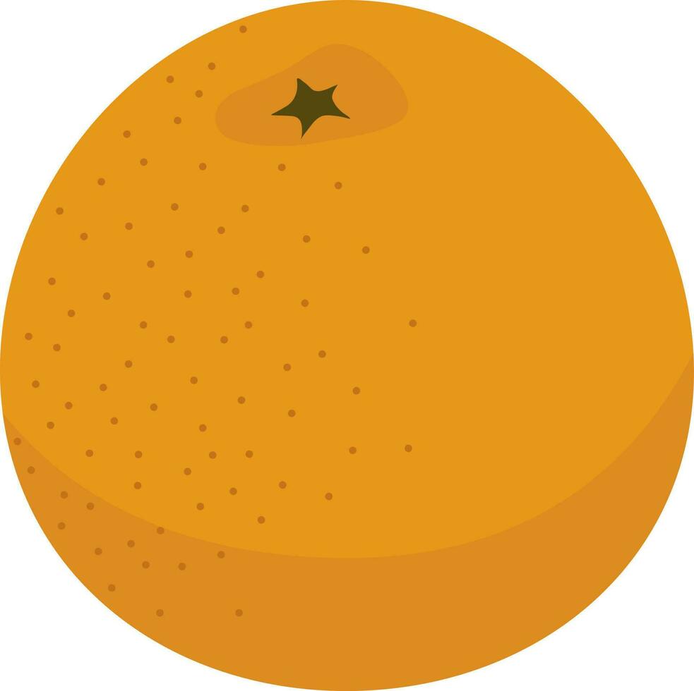 fruit oranje illustratie vector kleur