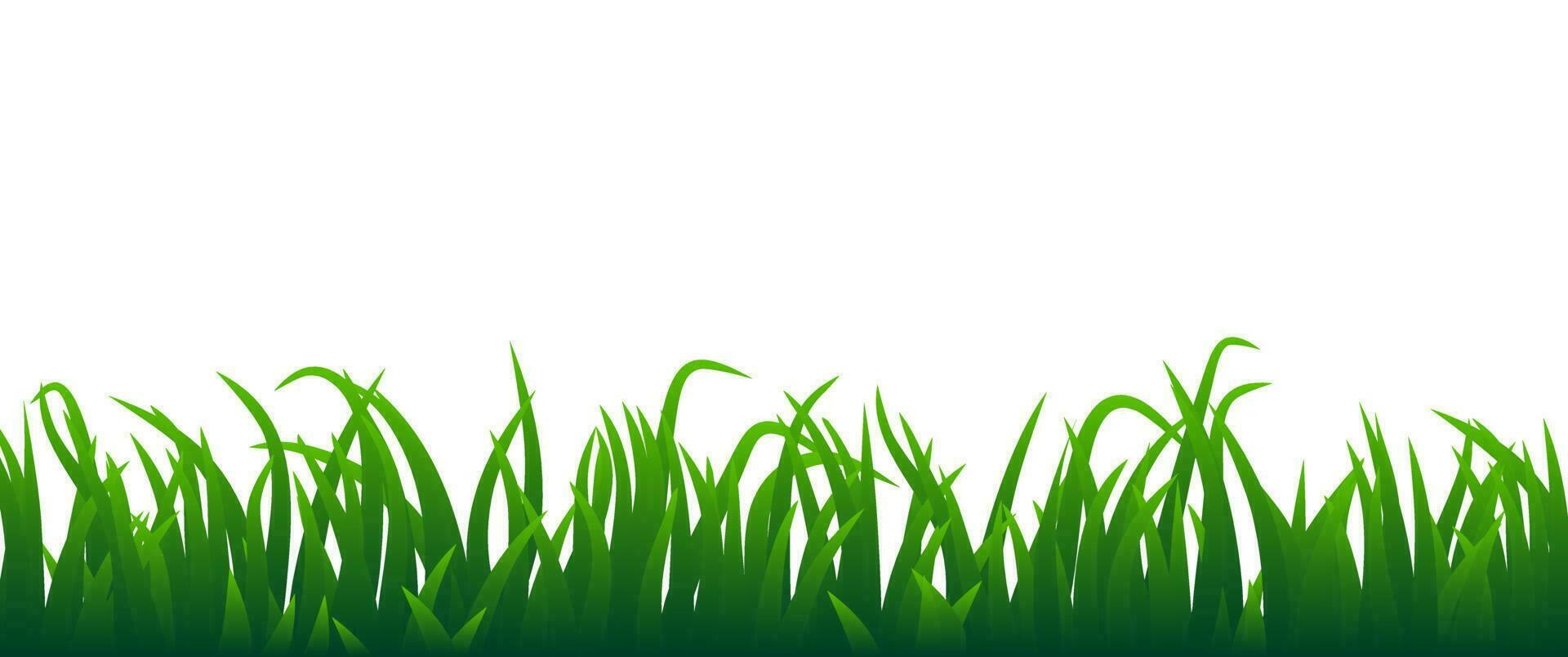 groen gras vector Aan wit achtergrond